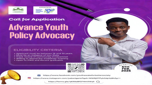 Organizational Capacity Building for Youth- Led Organization